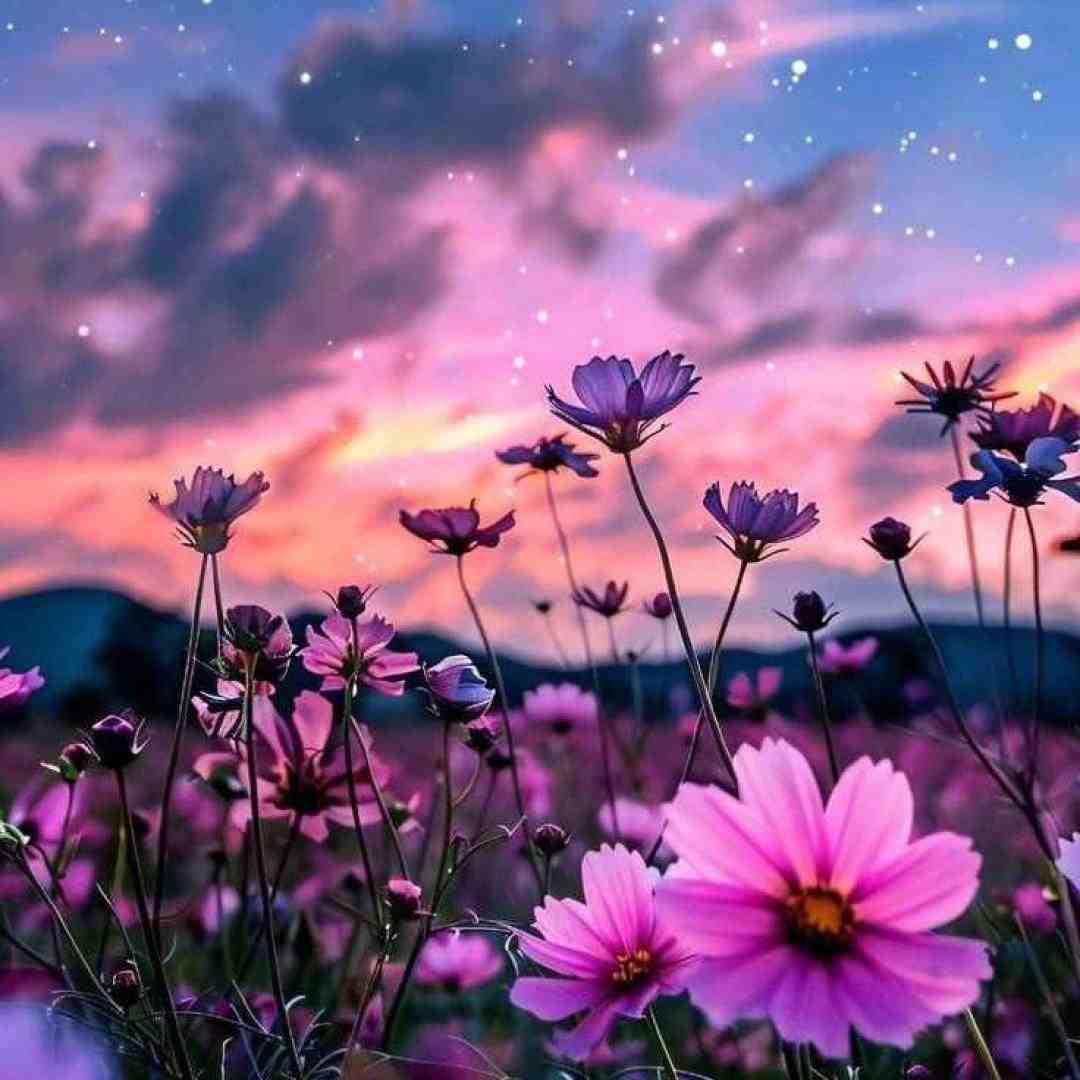  باورم نکن از وقتی نیستی این آدما بالمو چیدن با صدای پسر