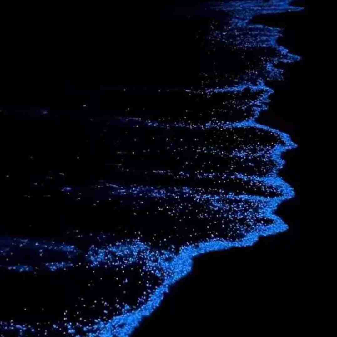 فاطمه عطایی یادش بخیر