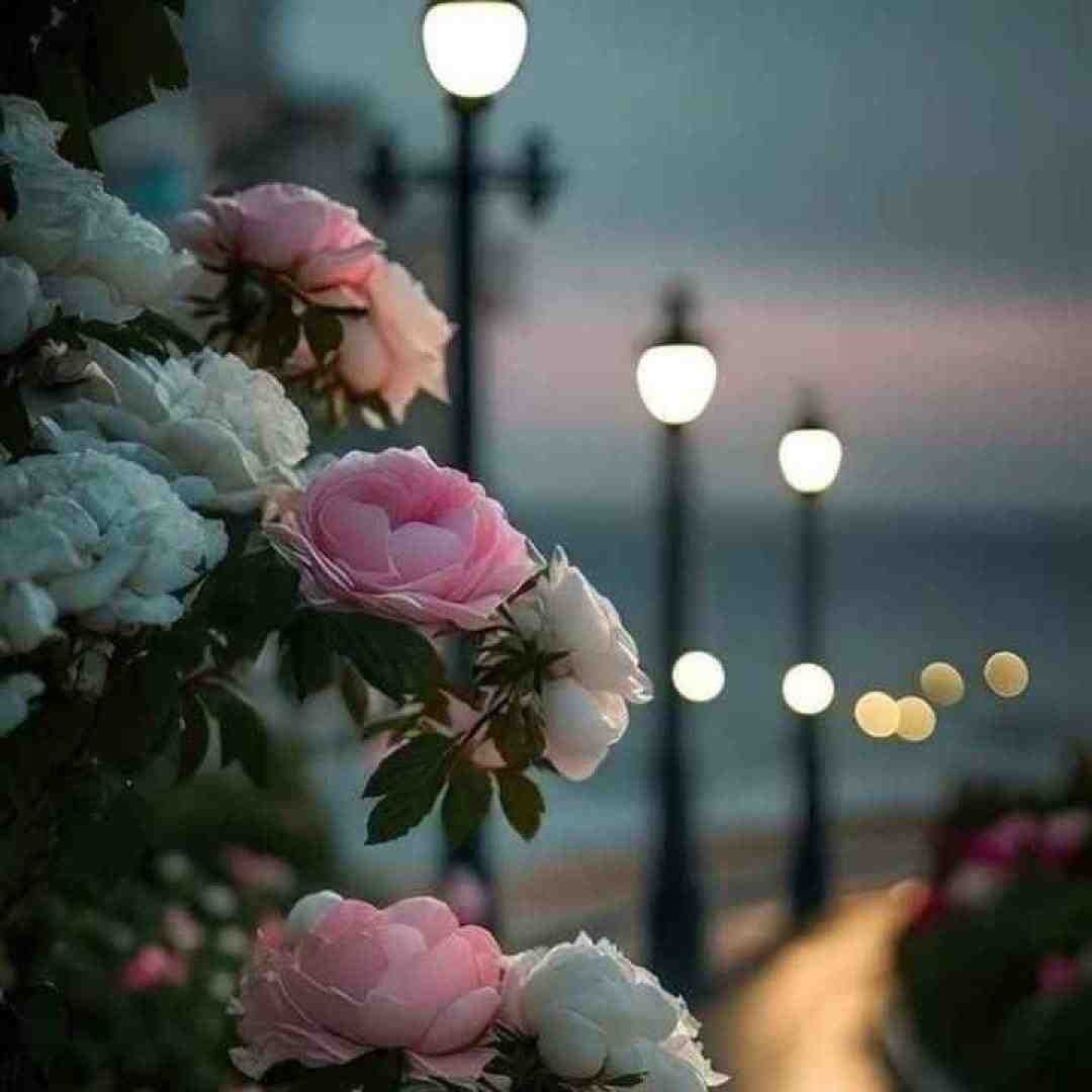  میگه خوبی میگم بالام چطور فقط من میفهمم حد بالانستو