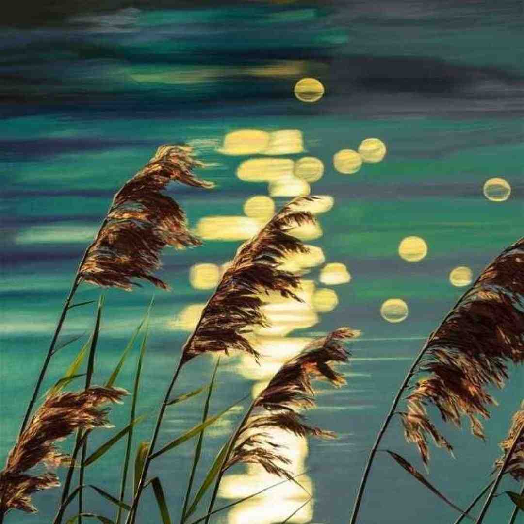 دای زری زری پاوردار بو بو بو بو – ترند اینستا
