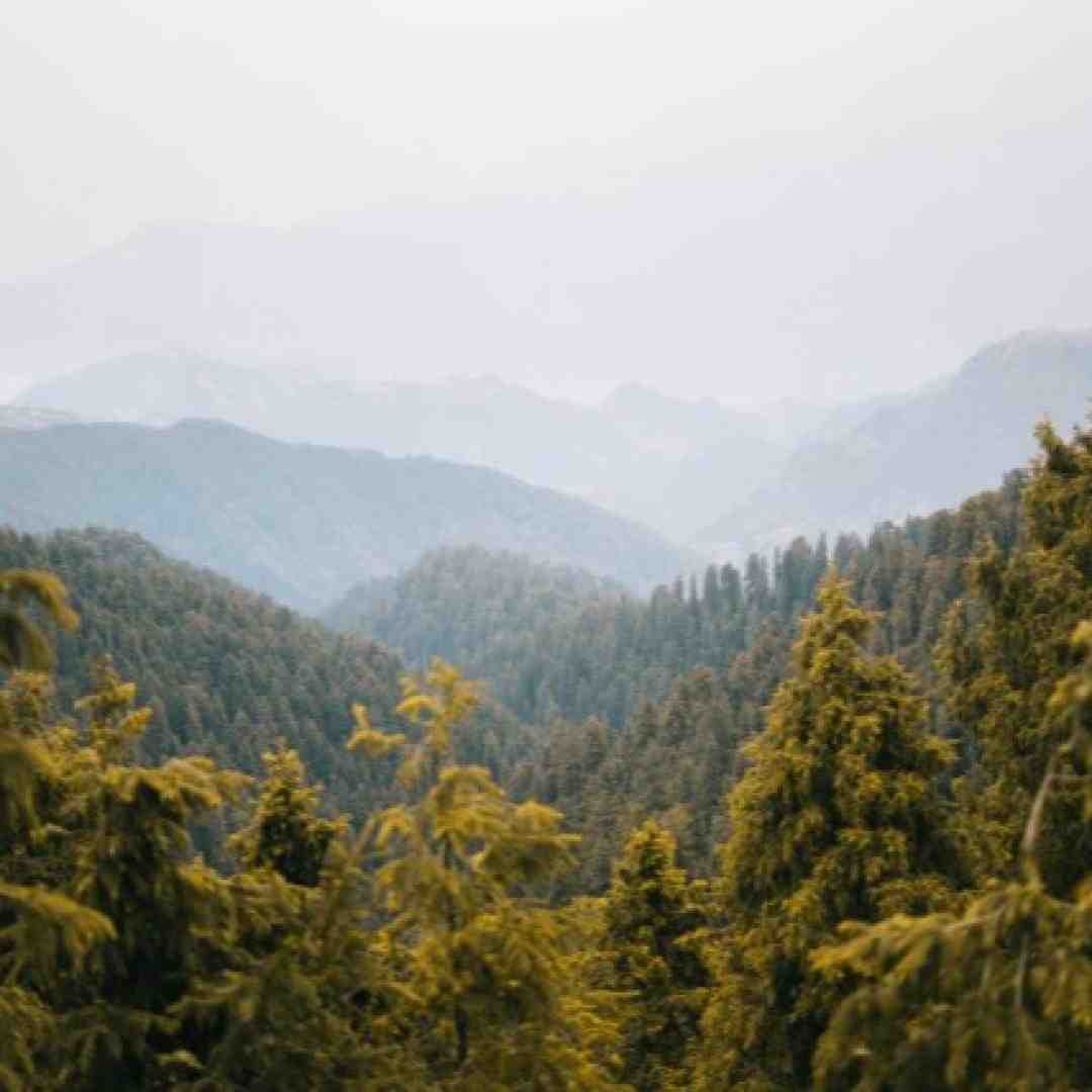 بازم بگو کی بازنده بود تنها بی تو باختم چه زود