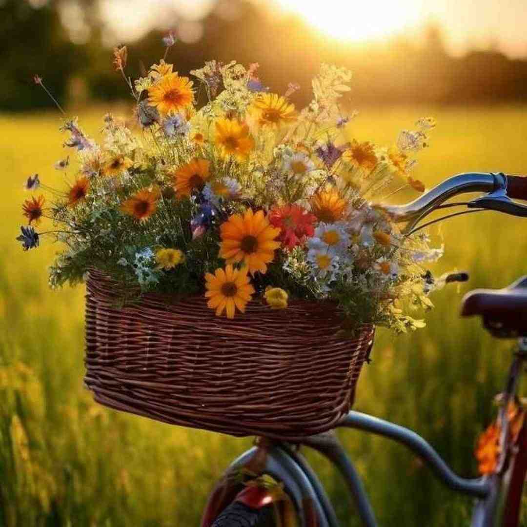 موزیک چی داره که هی میری پاش