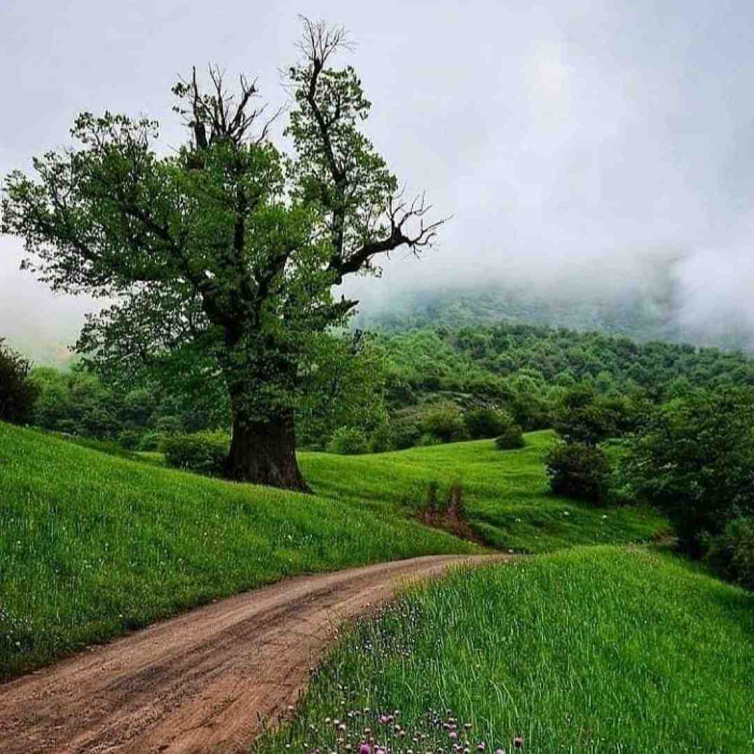 آهای من آیفون دارم آیفون ۱۳ دارم اینستایی