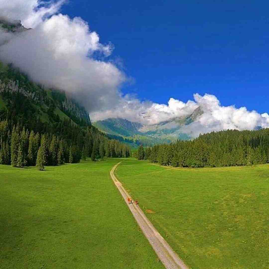 بچه محلا روم بستن بت صدام بالا شهره