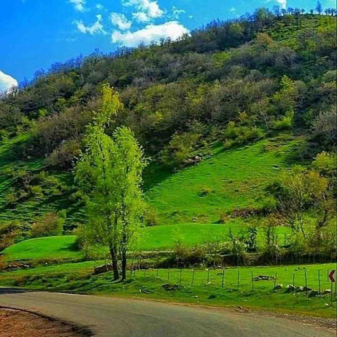 کی میدونه تو سکوتم با خودم چیکار کردم هوش مصنوعی