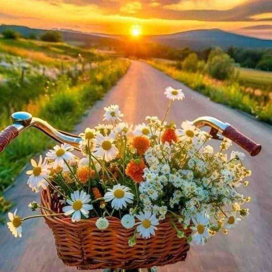 دشمن اگه هزار هزار فشنگاشون قطار قطار با صدای زن