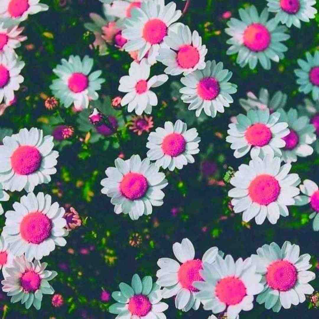 وقتی جوونا سیرن از دنیا وقتی جوونا با صدای پسر اینستایی