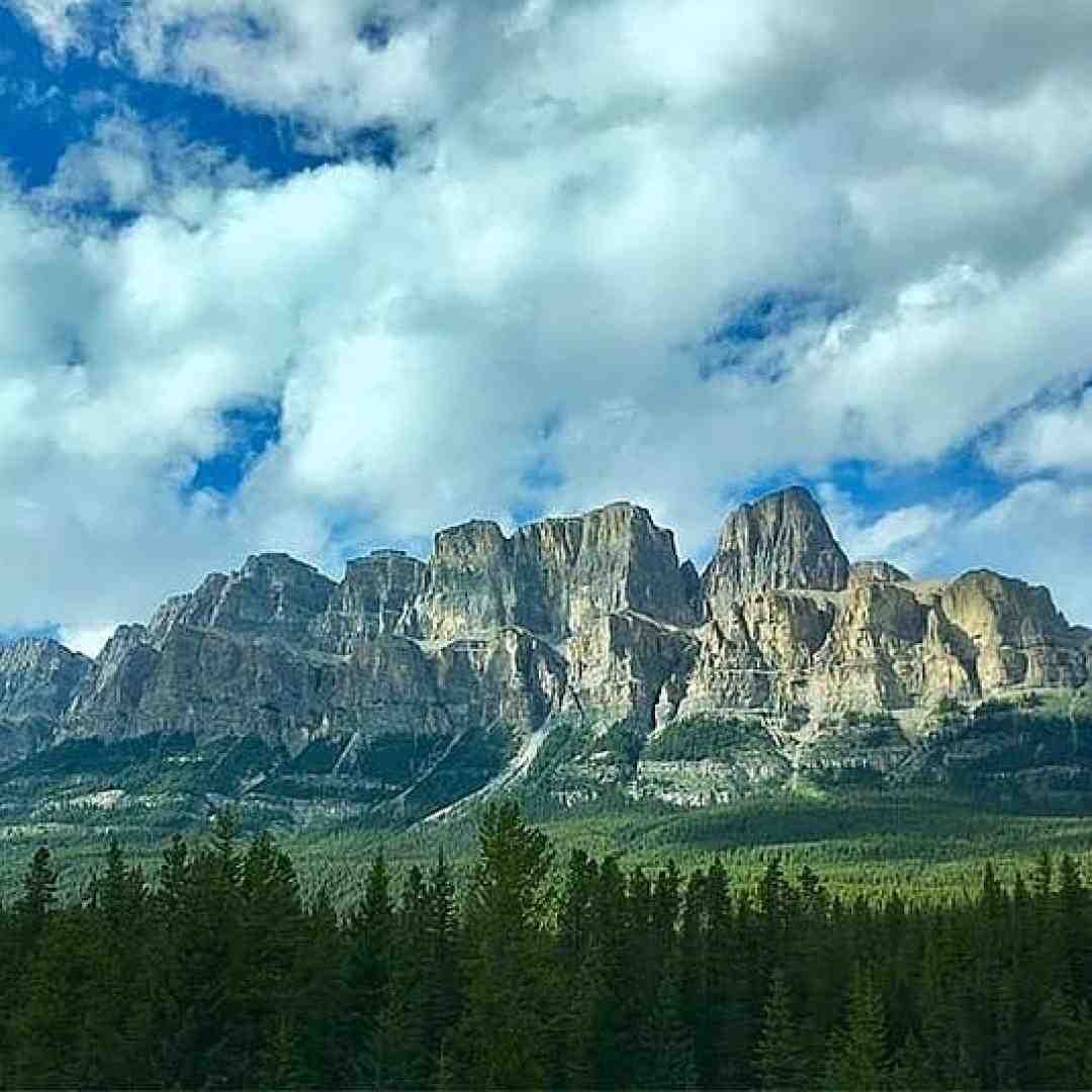 سر جنگ داری بام هر سری هی میخواد این دنیا