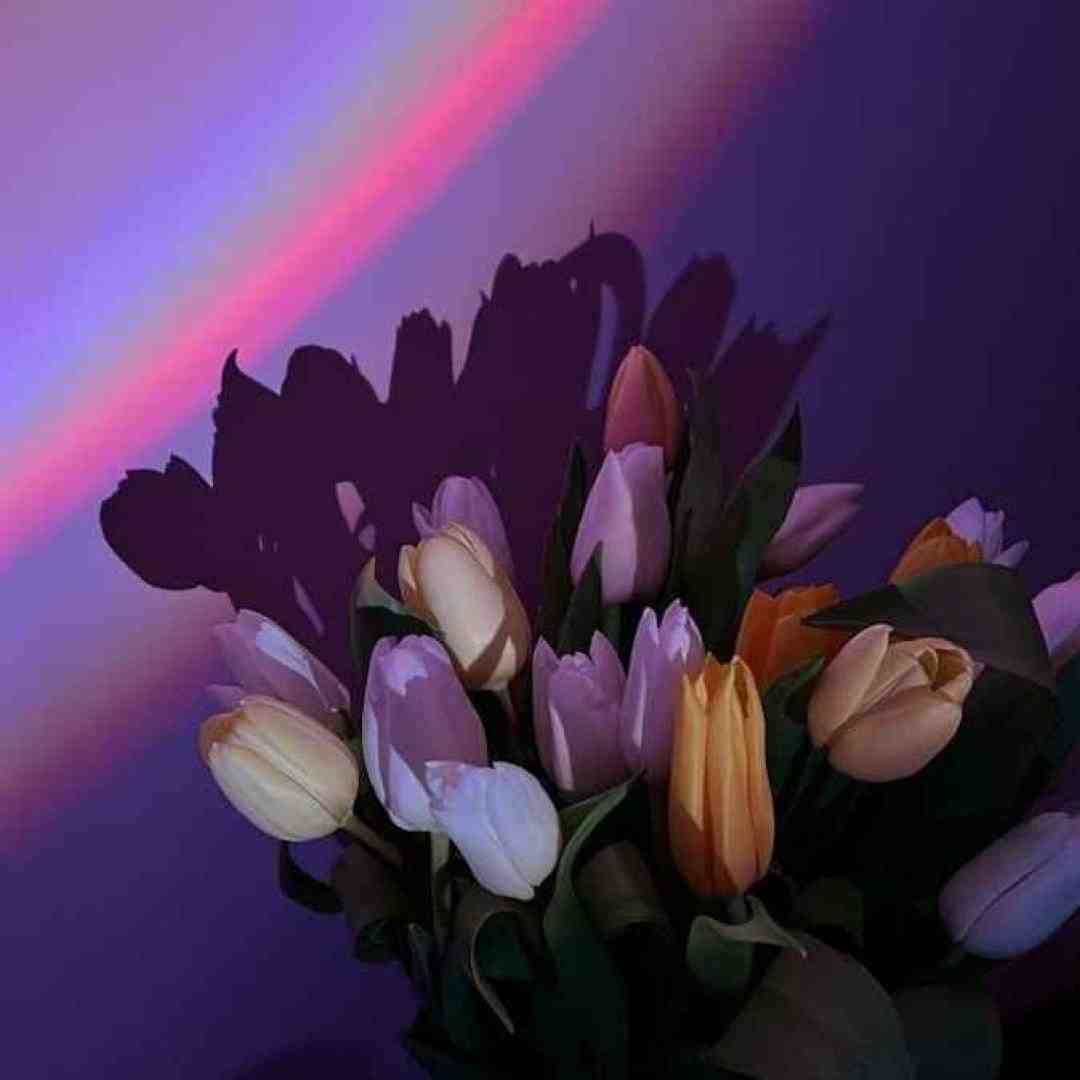  دیدی که صبح نیومد و هوای خونه شب شد