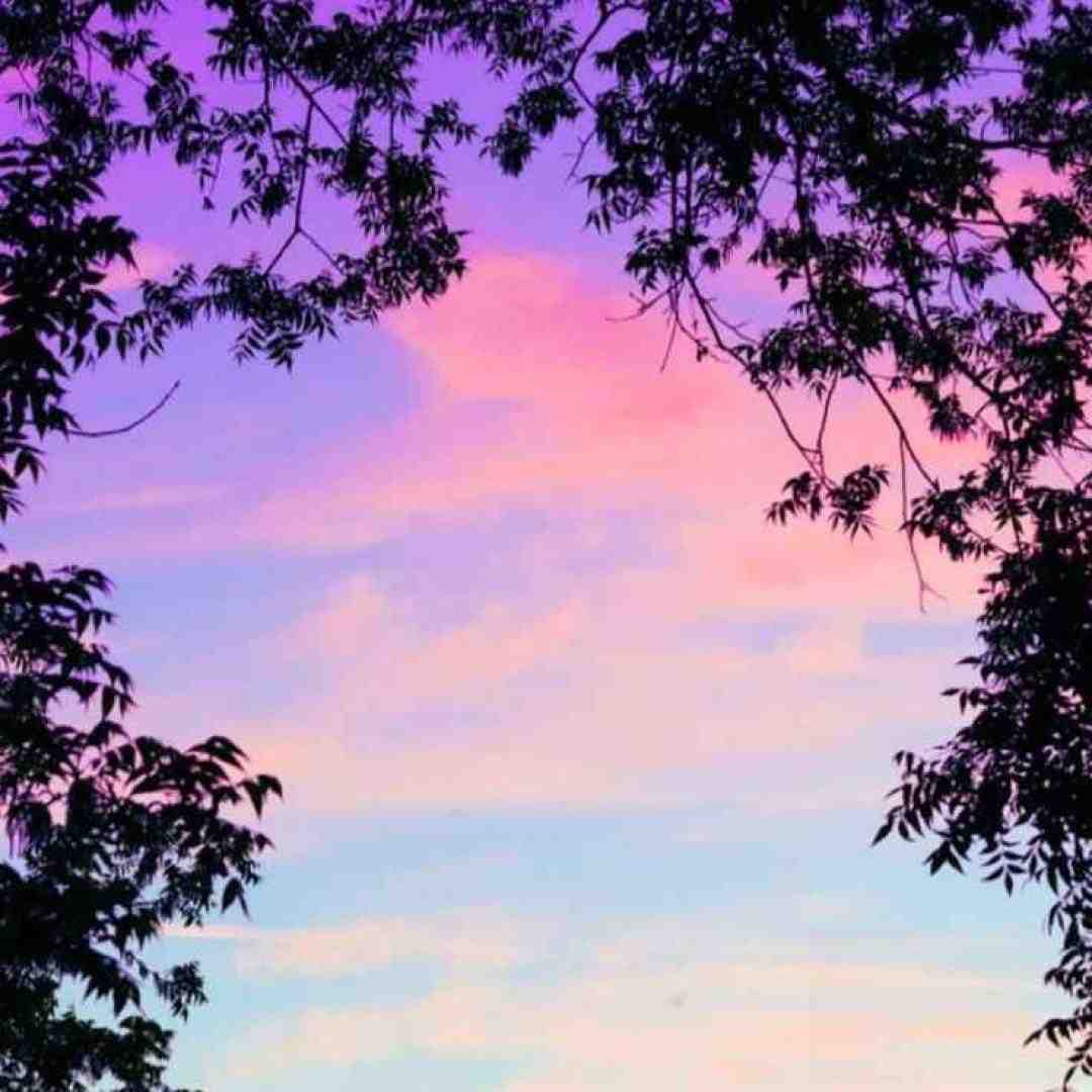  حالا نظرت چیه تو راجب من زود حرفتو بزن بانوی من