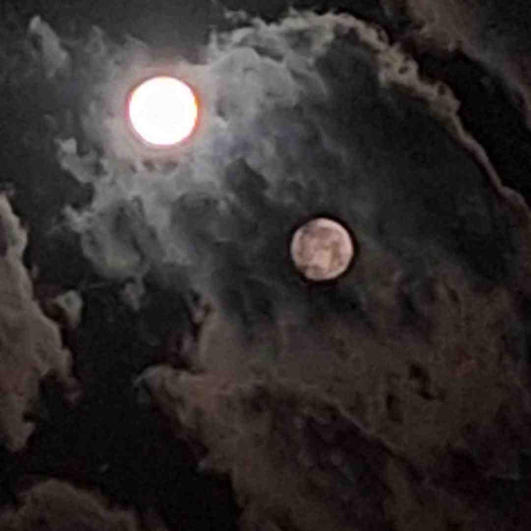 معلم باشی ظرف نشسته داری