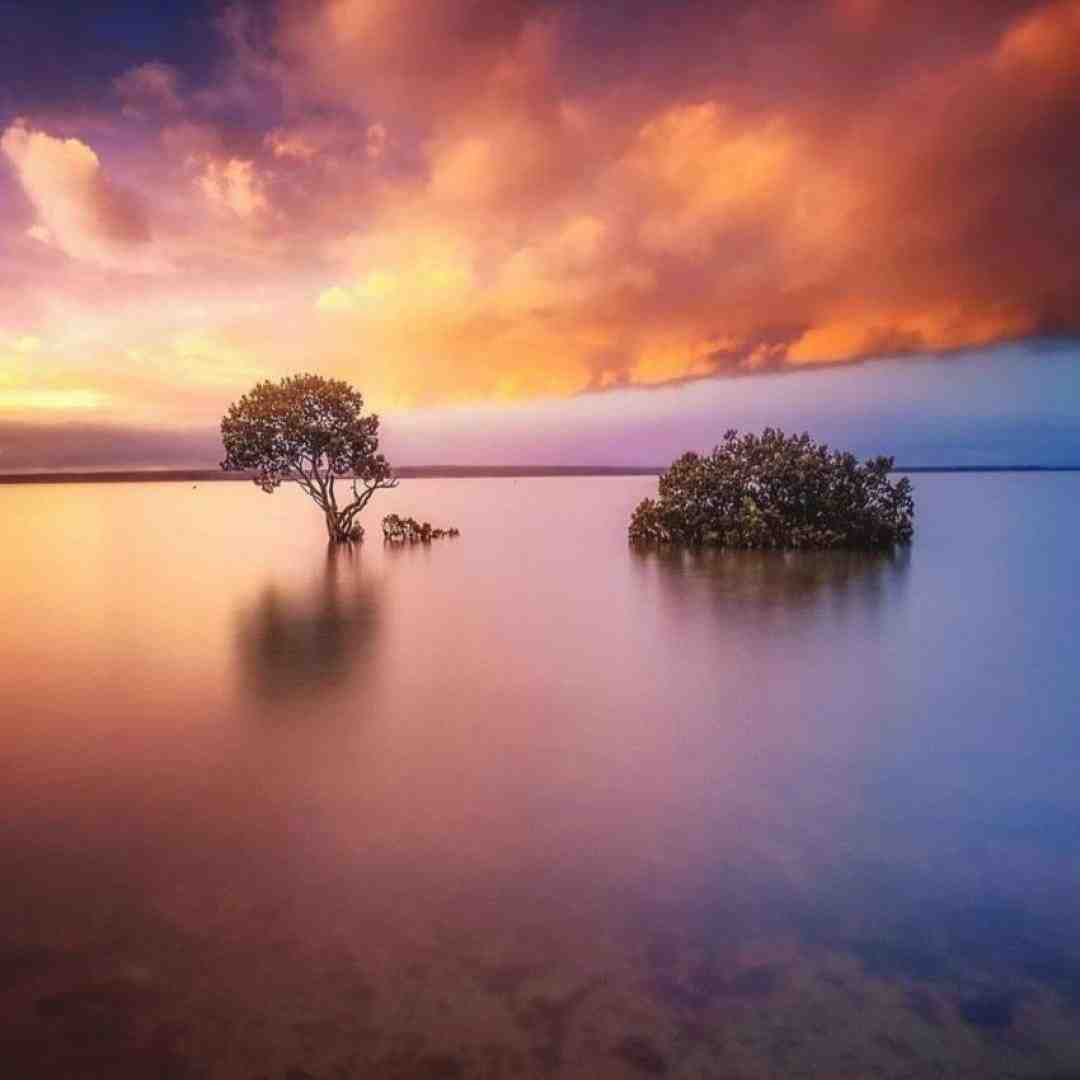 بیو د بیو دلبندت بیه گل بو خش با صدای پسر