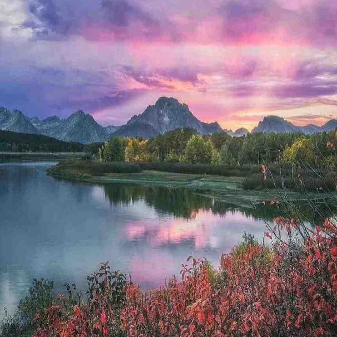  تف تو رخی که لای ماسکه دست مارو کردی که