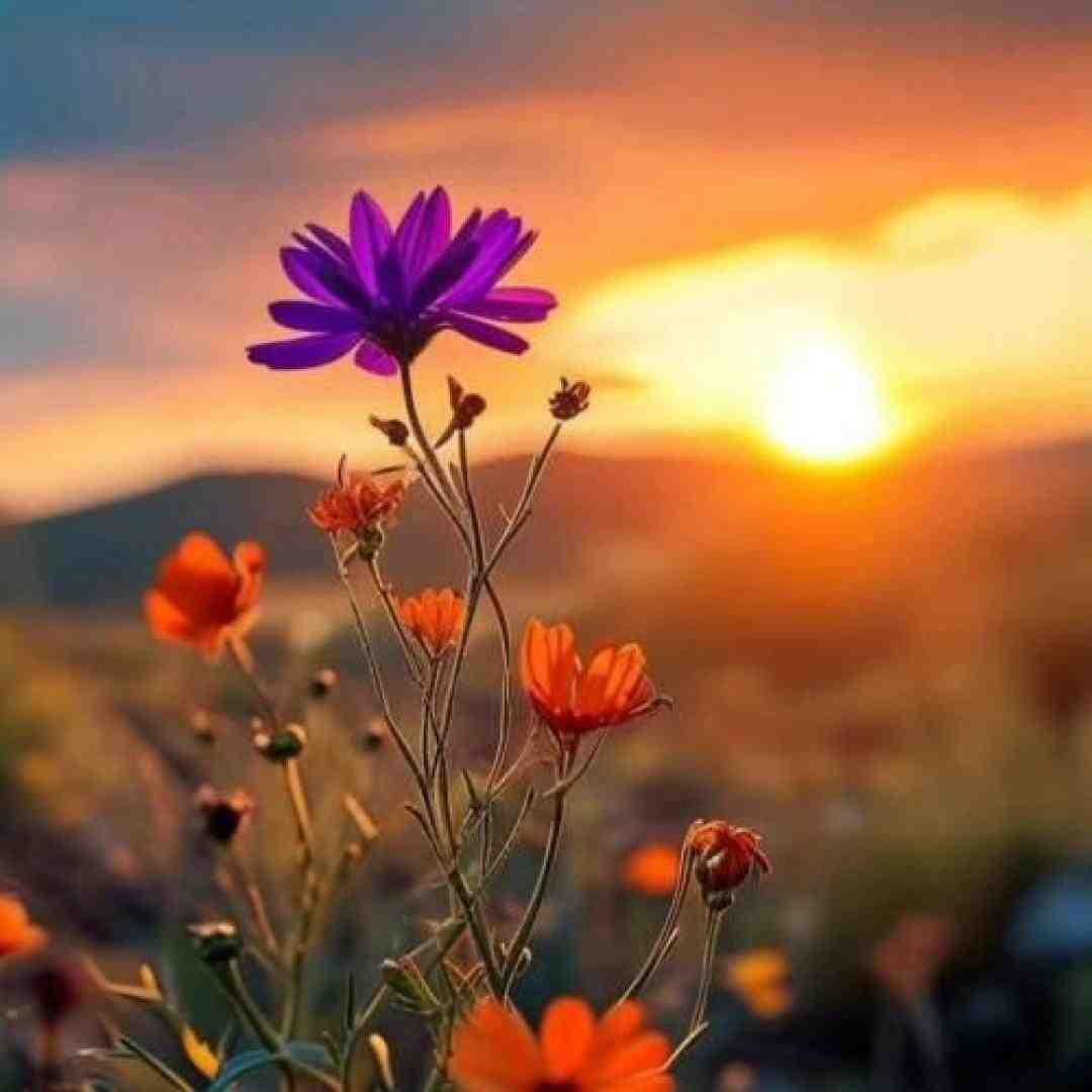 تو مدرسه با چاشت دیدنت زنگ تفریح با چاشت دیدنت