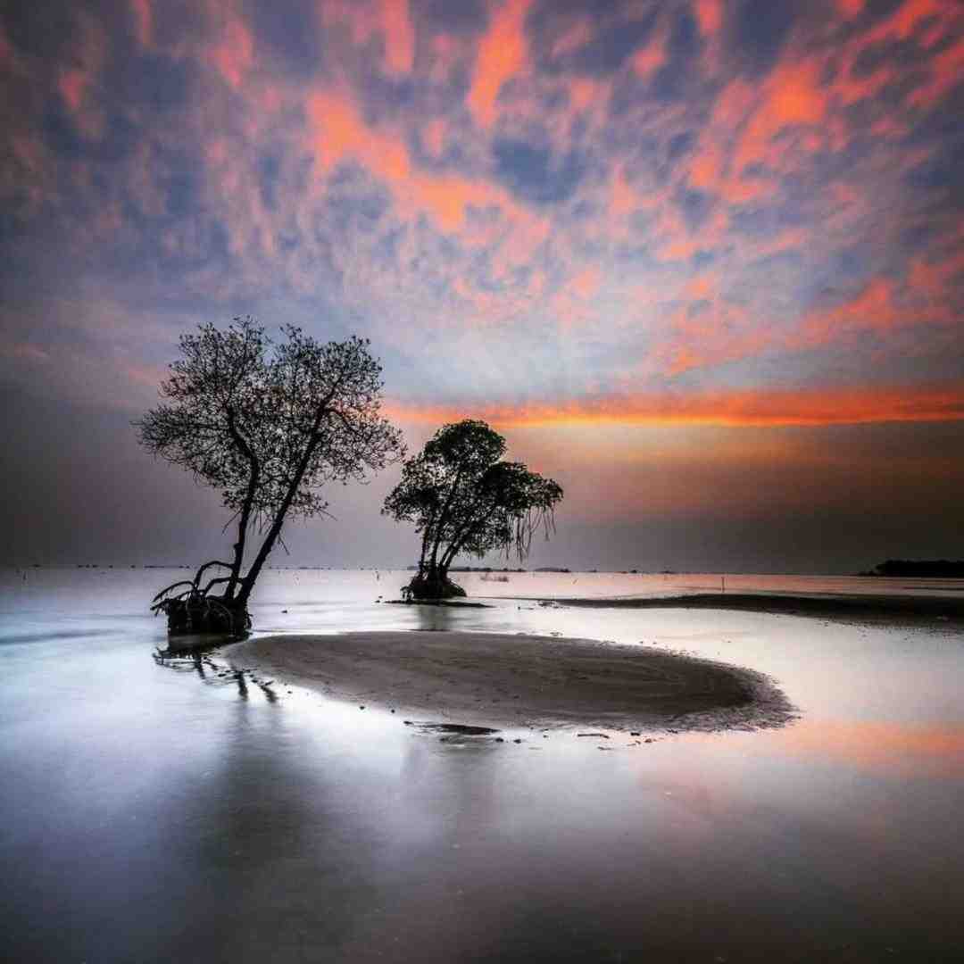  یک طرفه شد رابطه اون شبو یادته