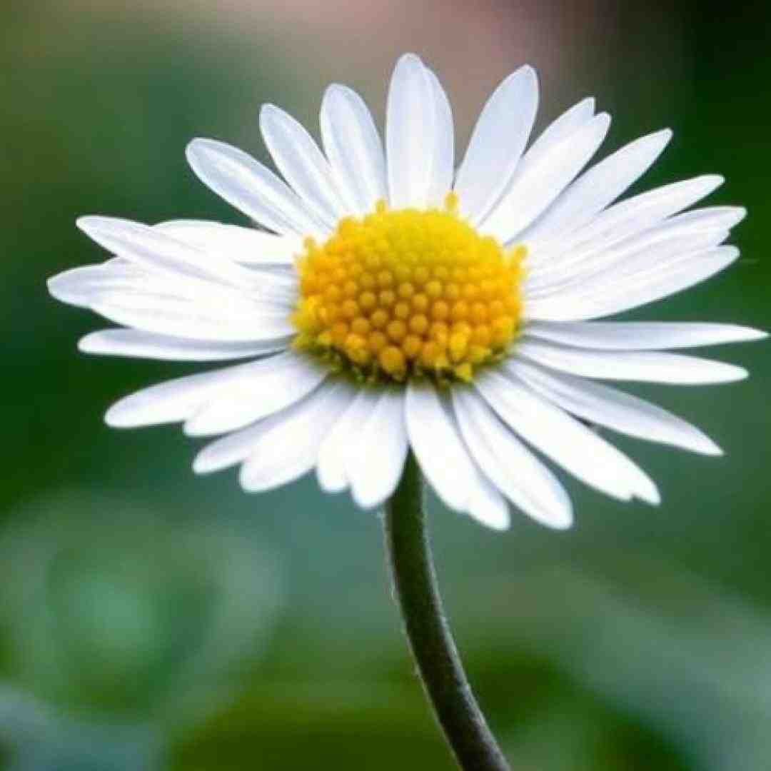 بحث چیه دیگه بحث ندارم همه صف شدن پشت سرم حرف درارن