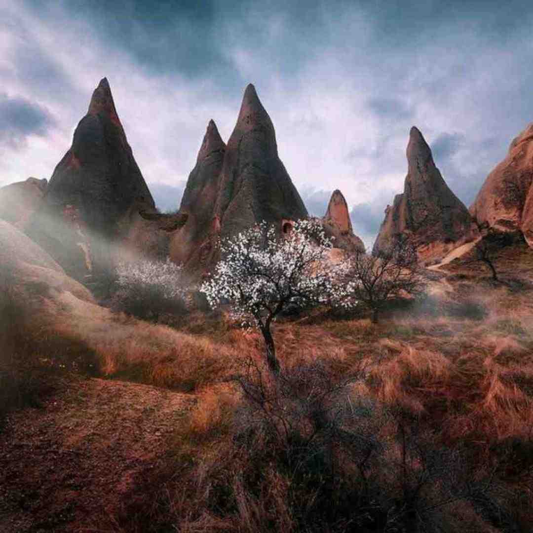  نمیشه نمیشه از هم رد شیم