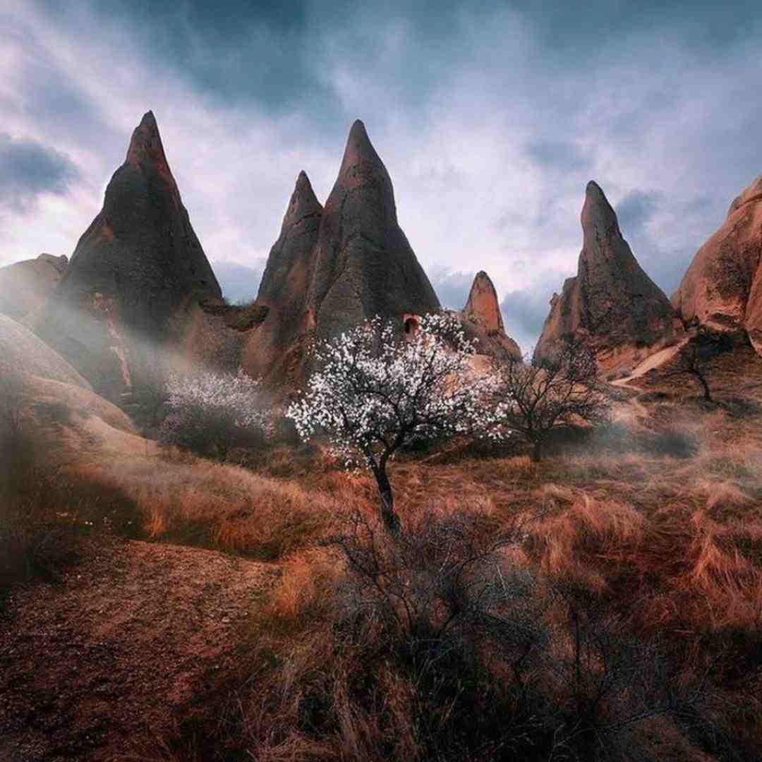  مو طلا سفید تنت هرچی بگی حله اگه بگی بله