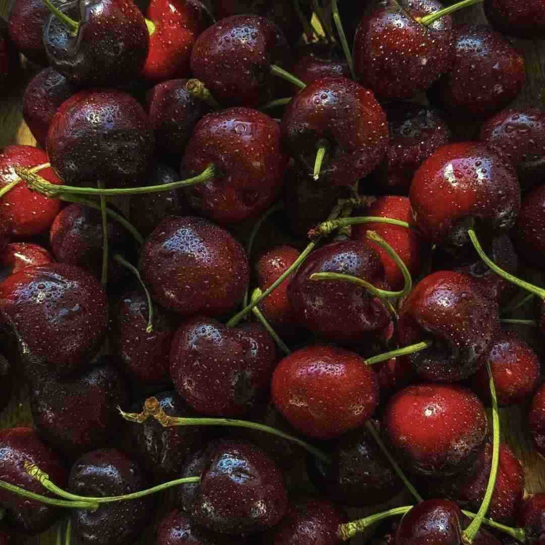  توی رابطه با تو بدون بازنده منم – هوش مصنوعی