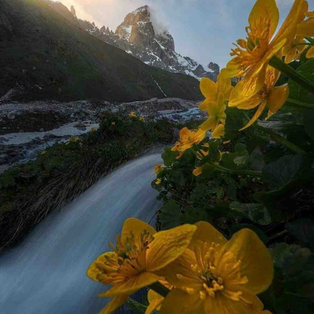 بیقرار