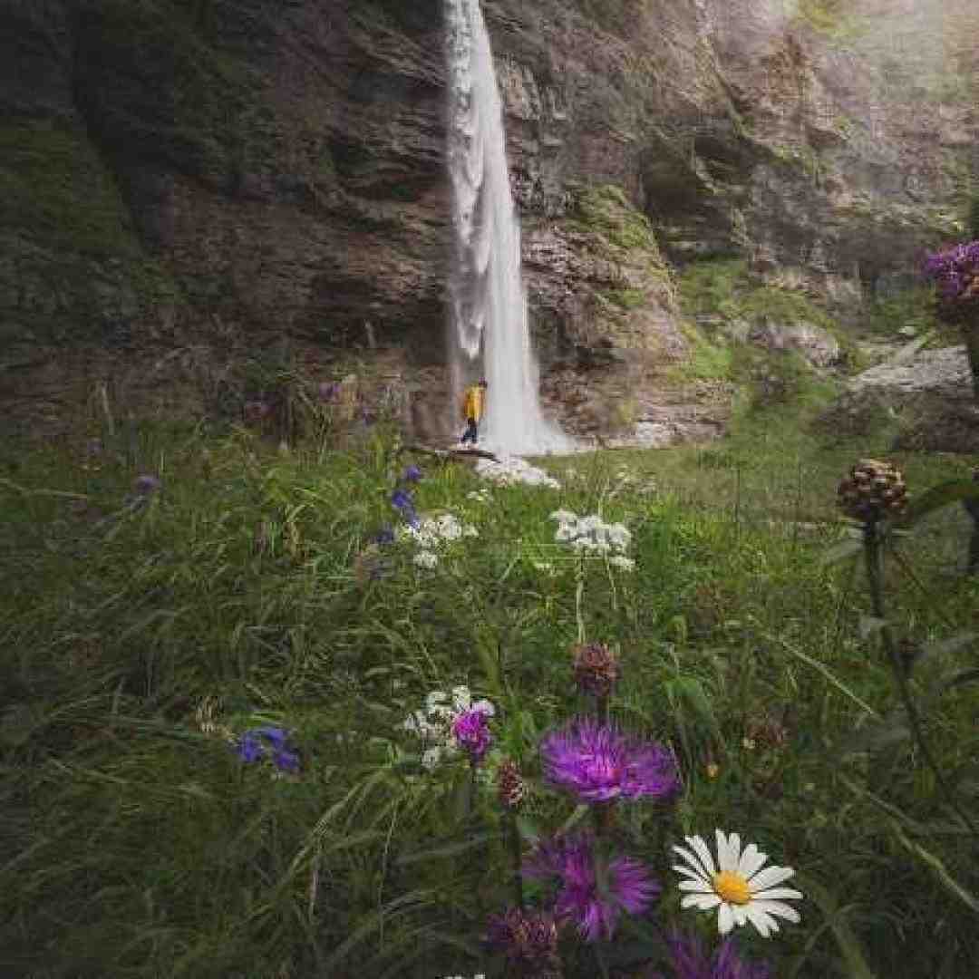  یک که میگم دستا بالا