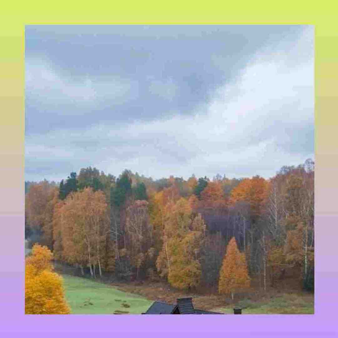 داشیا میرونن هنو پژو لوازمی لباسا گرونه