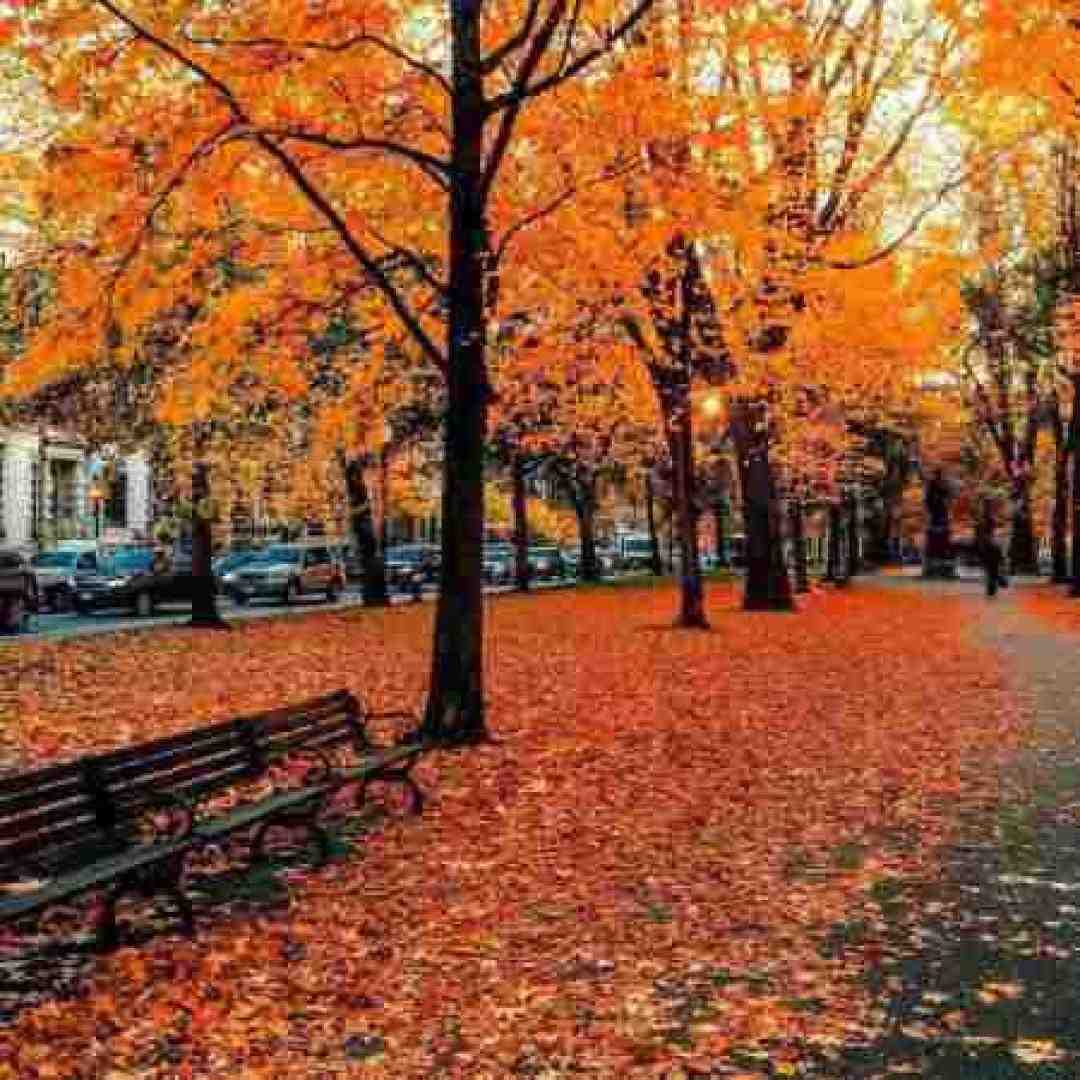 یه نخ بده همه چی عوض شده چون پاییز شده