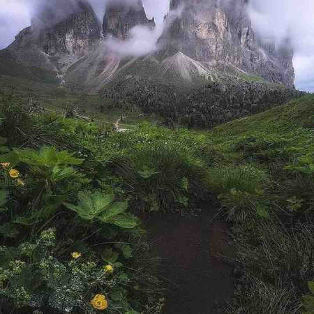 سایه سر هوش مصنوعی