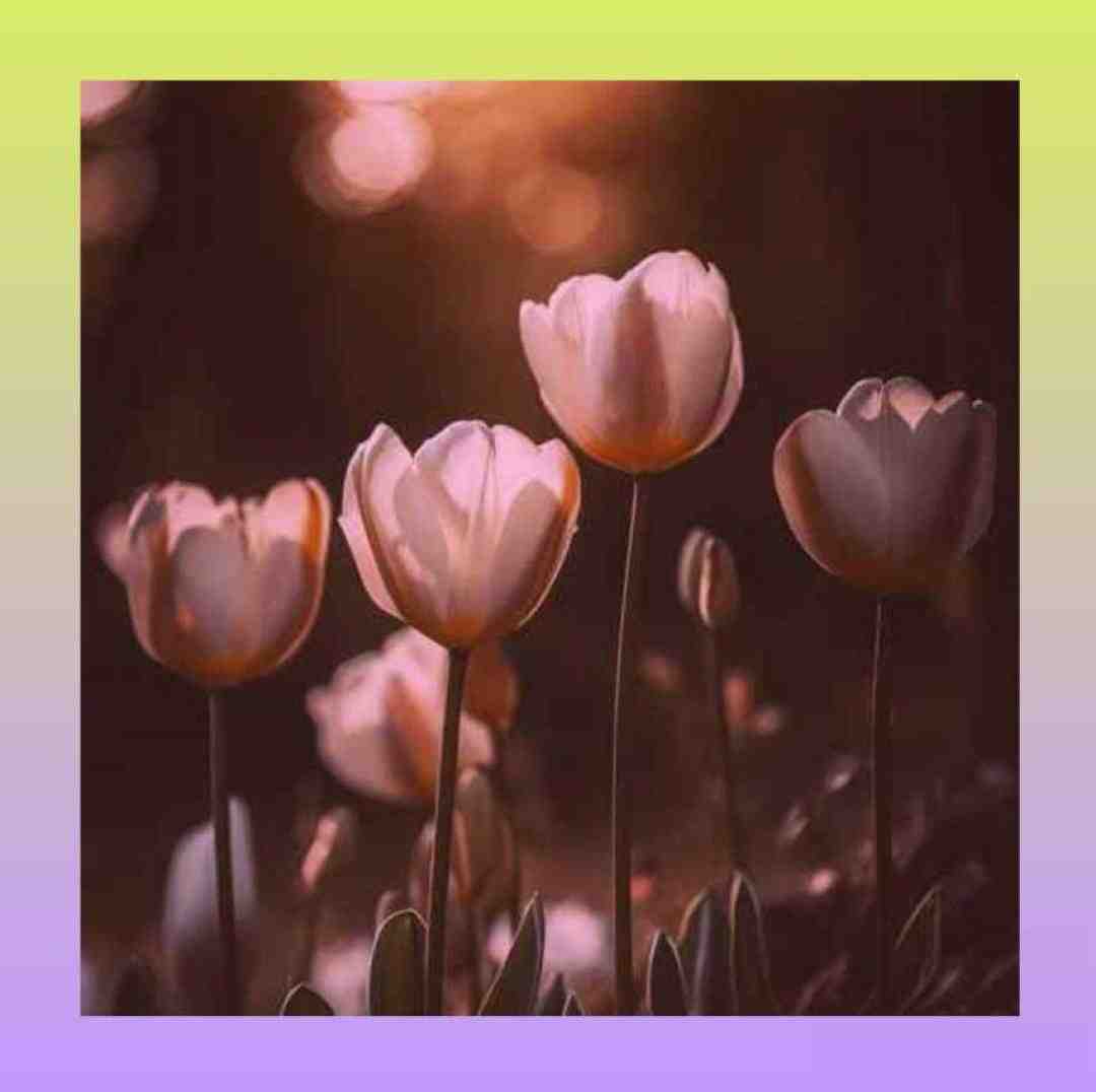 به اونجایی رسیدم که گم کردم