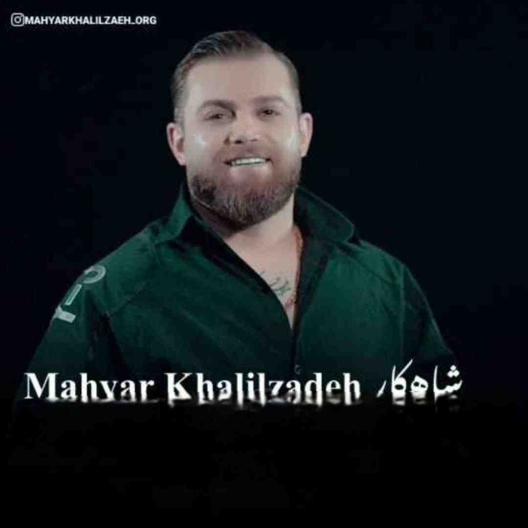 مهیار خلیل زاده شاهکار