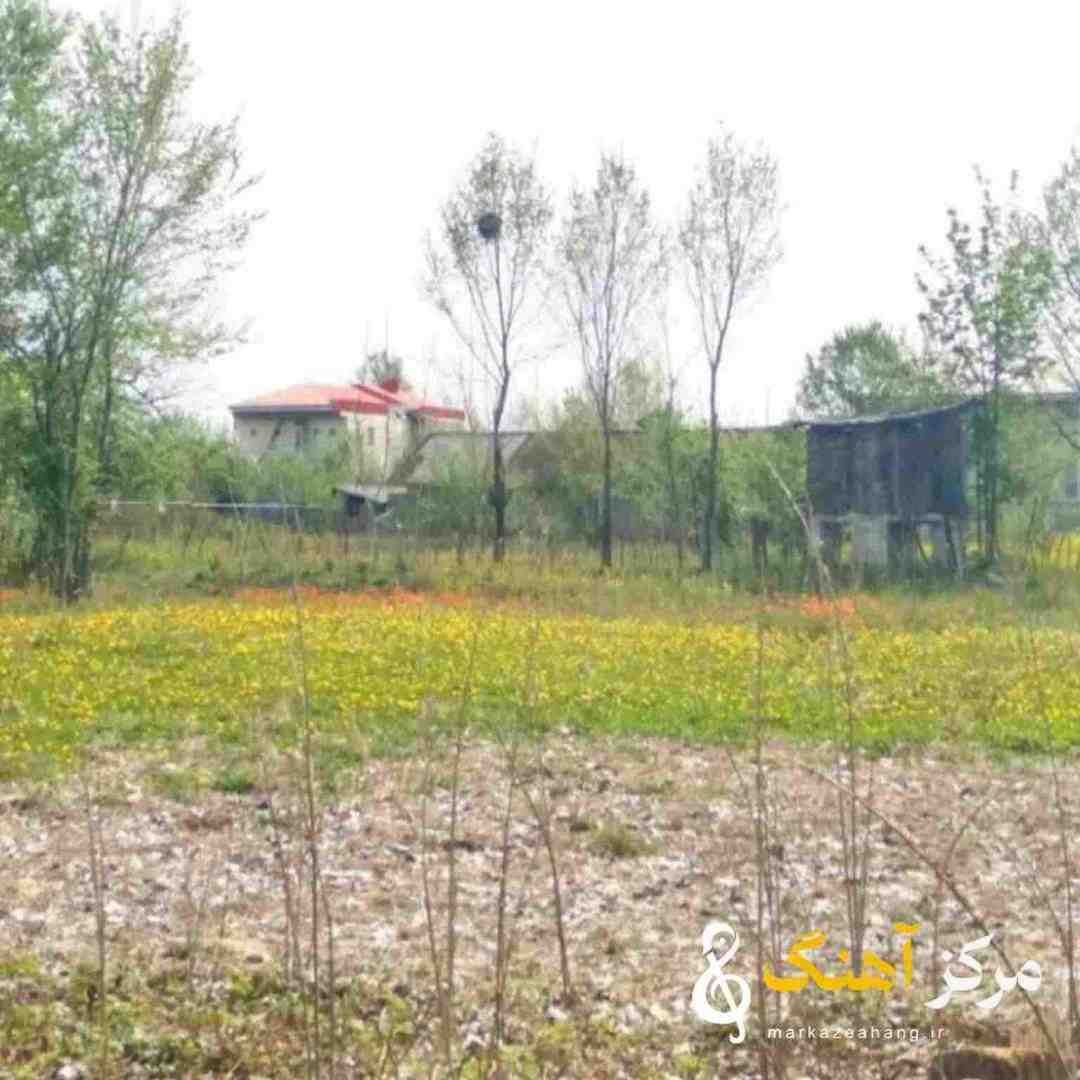 اسی بیت برعکس تو من خیلی دوست دارم