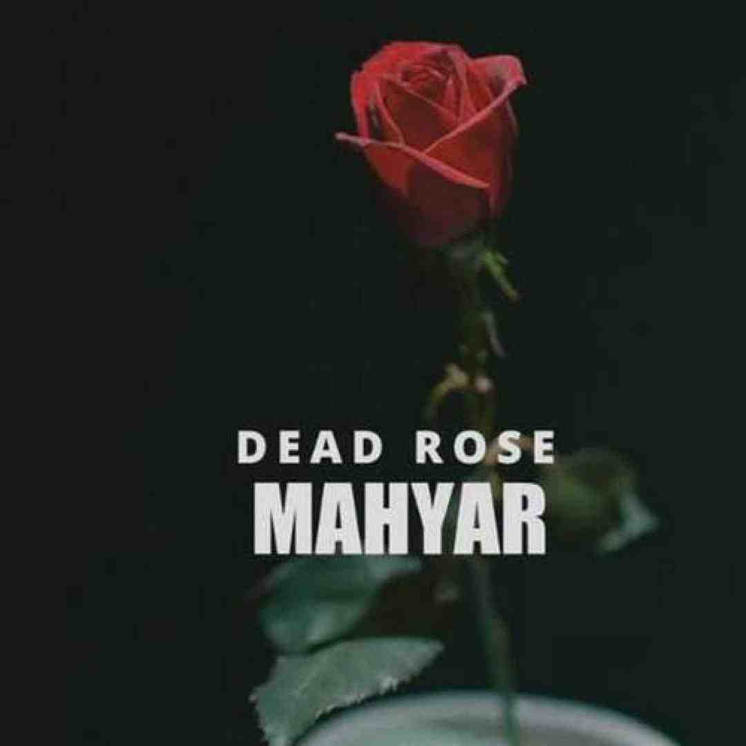 مهیار رز مرده