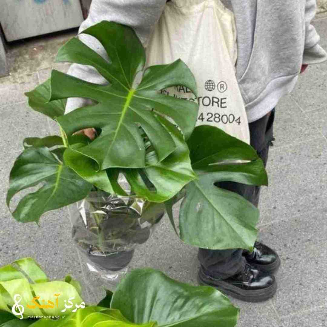 خیلی بد گذشت تو نبودی ببینی چقدر سخت گذشته