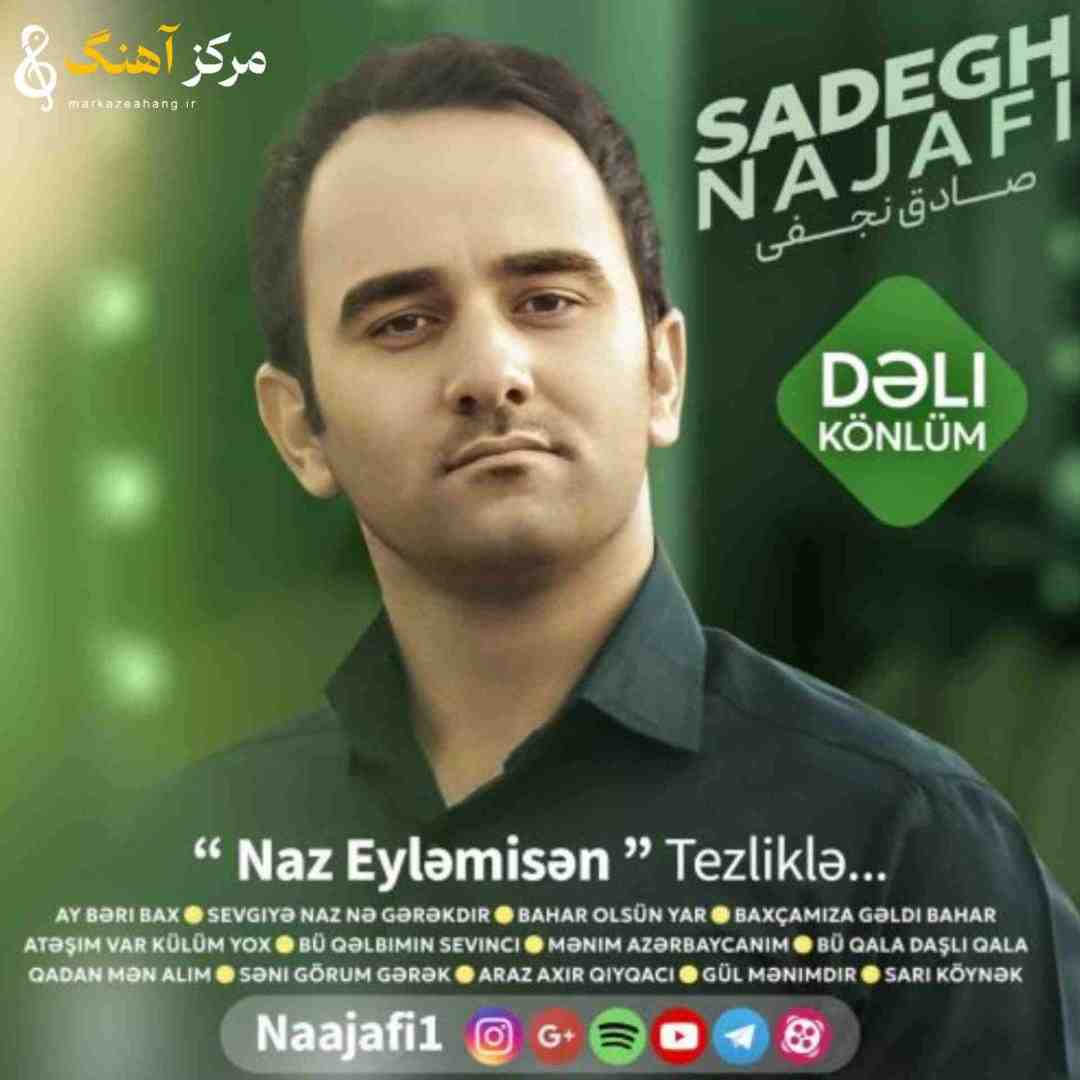 صادق نجفی دلی کونلوم