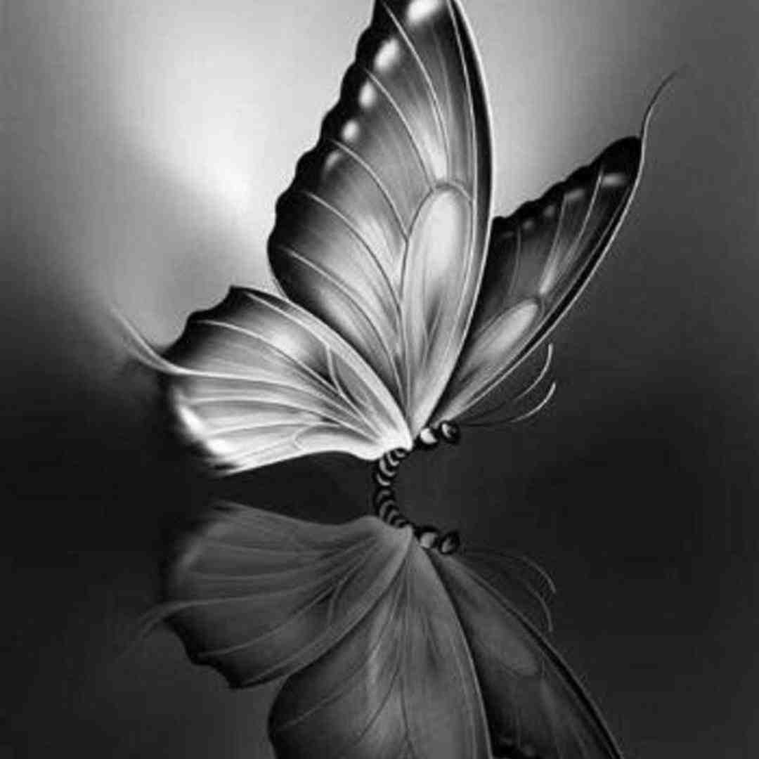 سه صبح توی خیابون نبودین خیلیاتون