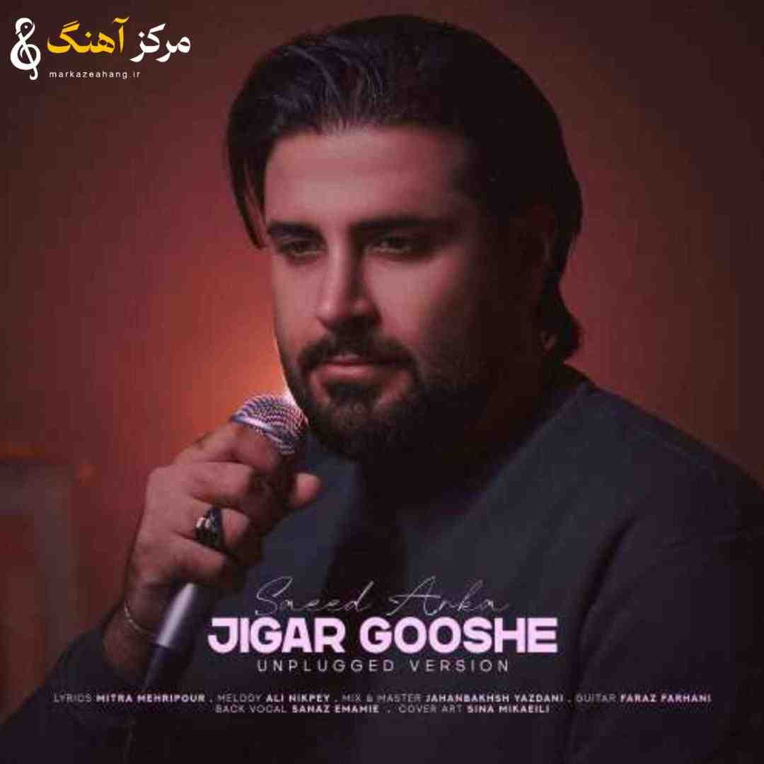 سعید آرکا جیگر گوشه