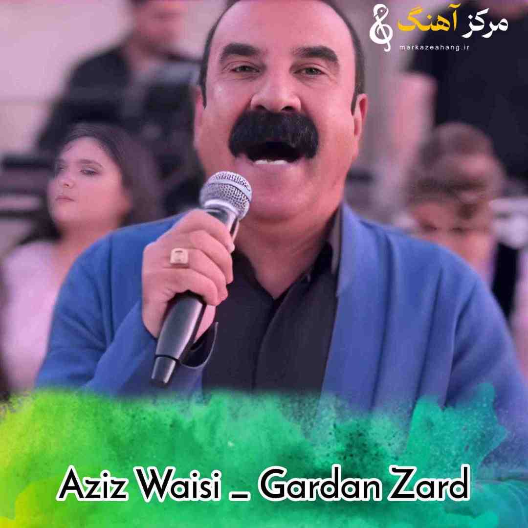 عزیز ویسی گردن زرد