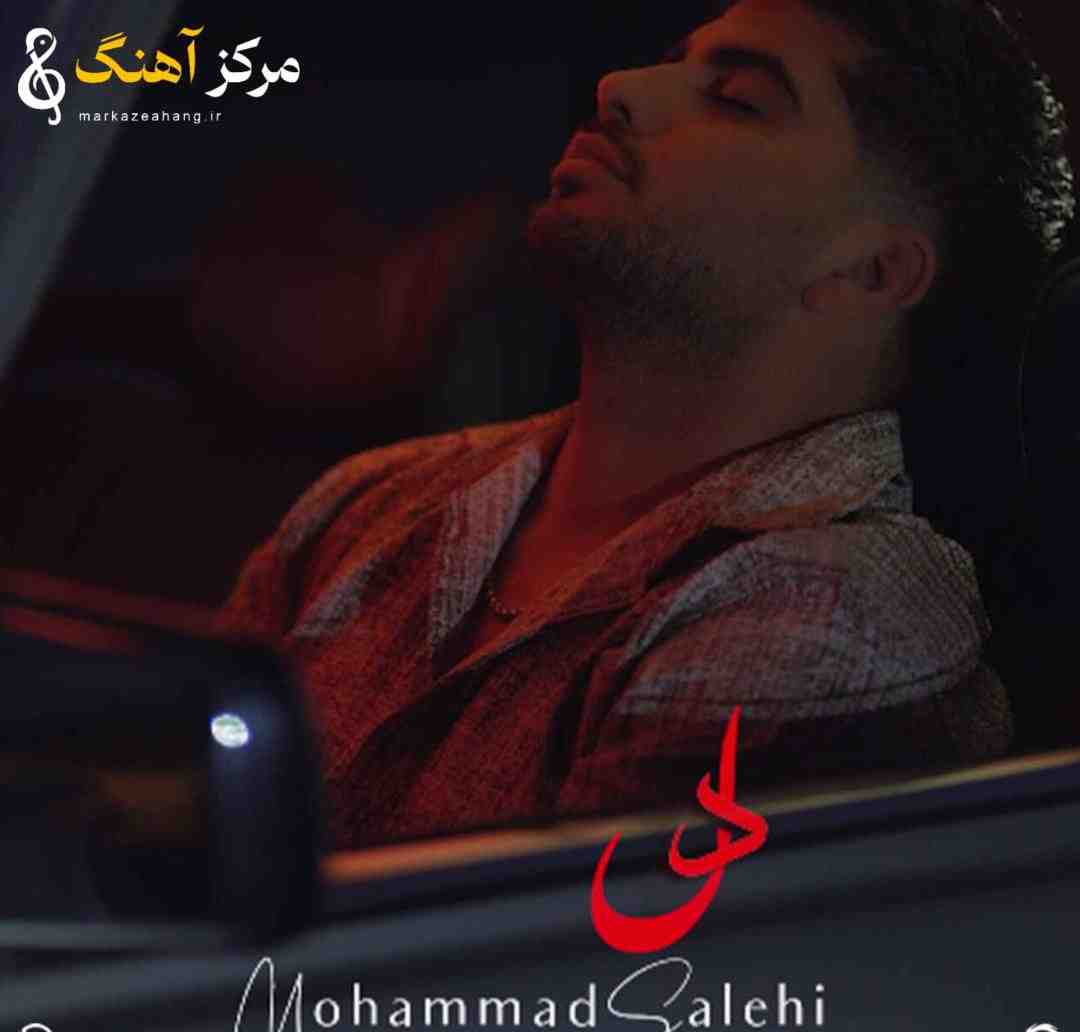 محمد صالحی دل