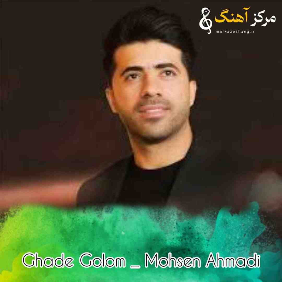 محسن احمدی قد گلم کشیده ی انار نو رسیده