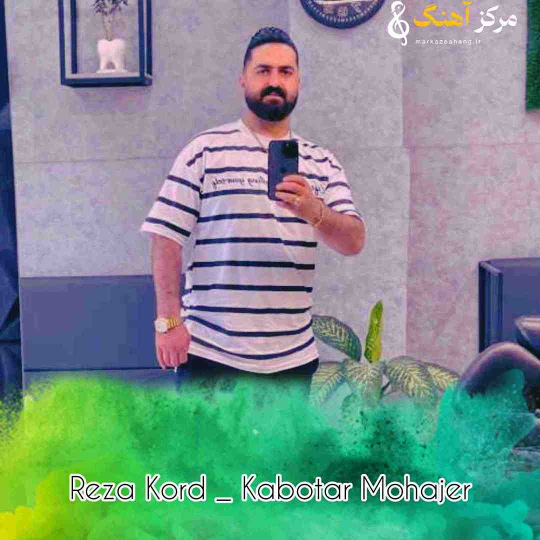 رضا کرد کبوتر مهاجر