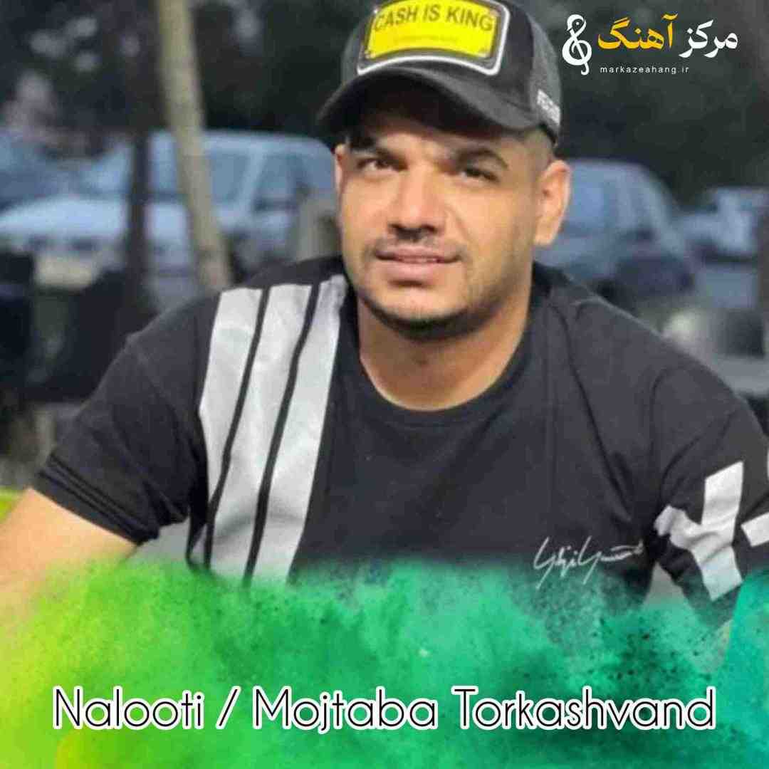 مجتبی ترکاشوند نالوطی