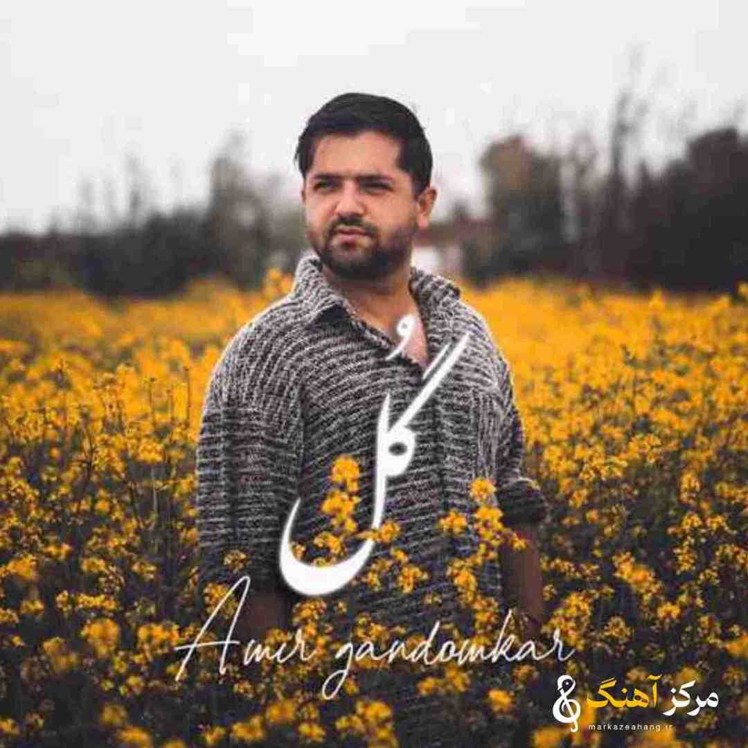 امیر گندم کار گل
