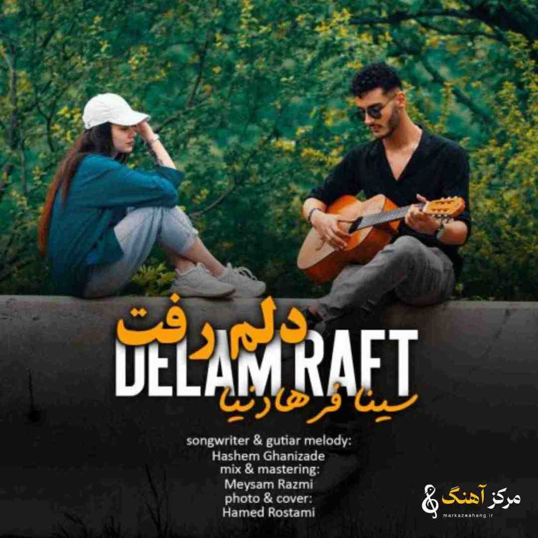 سینا فرهادنیا دلم رفت