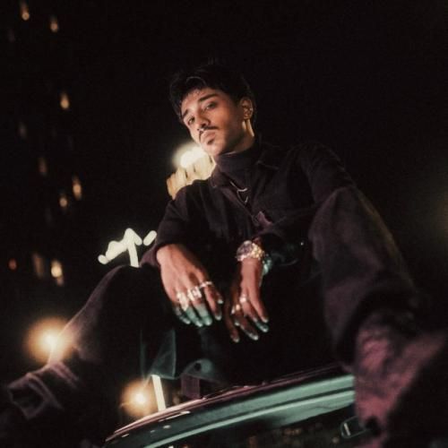 مستر کیارش من نمیخواستم این جاده رو یه نفر برم