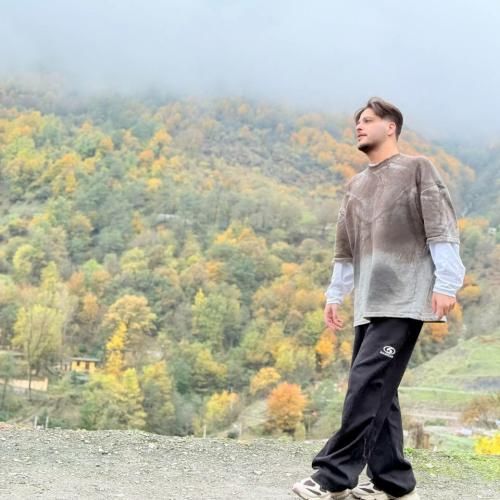 امیر چیتگر ناحق