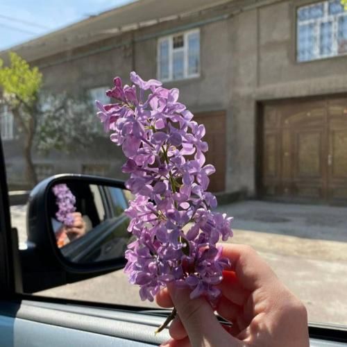 تمومه دیگه همه چی تمومه دیگه نداریم ما همو