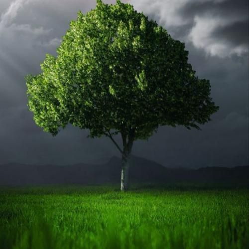 به تو نمیرسه به ما میرسه رو پک میگم حاجی