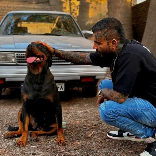 مهدیار عجب بابا عجب روزگار به هرکی حال دادیم