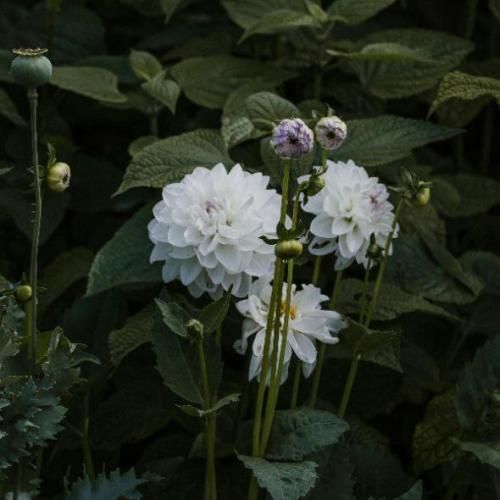 این که بدی حرفم نی نمیخام برگردی حالمو بد