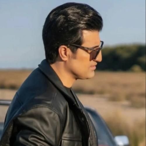 محسن لرستانی خسته ام خسته ام مرغ پرسته ام